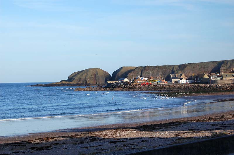 View to harbour